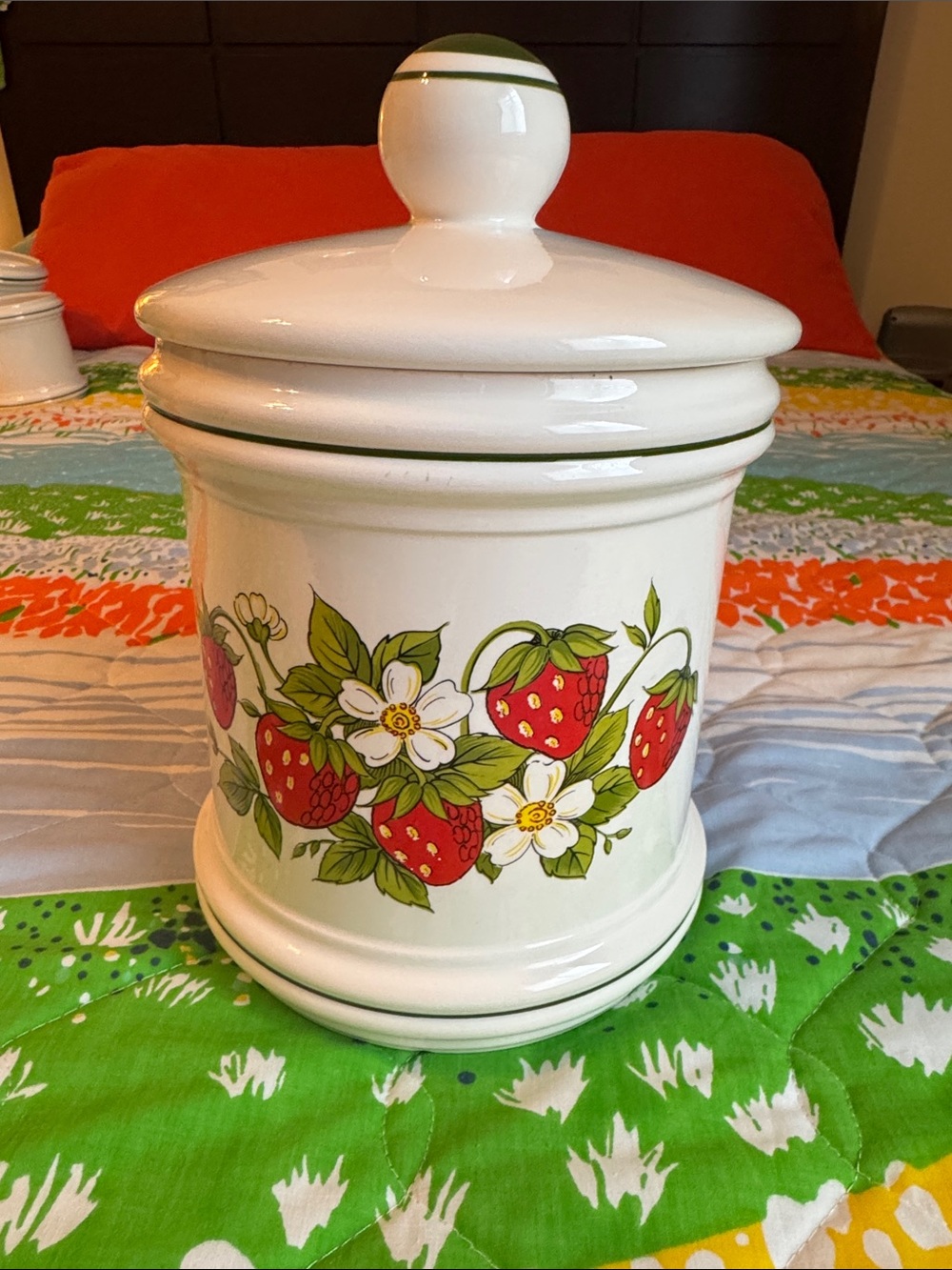 Vintage 70s Sears Strawberry Fields Canister Approx. 10in Tall x 6in Wide
